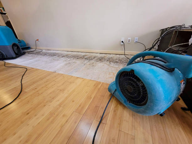 Professional Structural Drying technician working in Freeman, MO